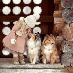 Аренда животных